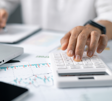 BLZ - Tax-and-accounting services in UAE