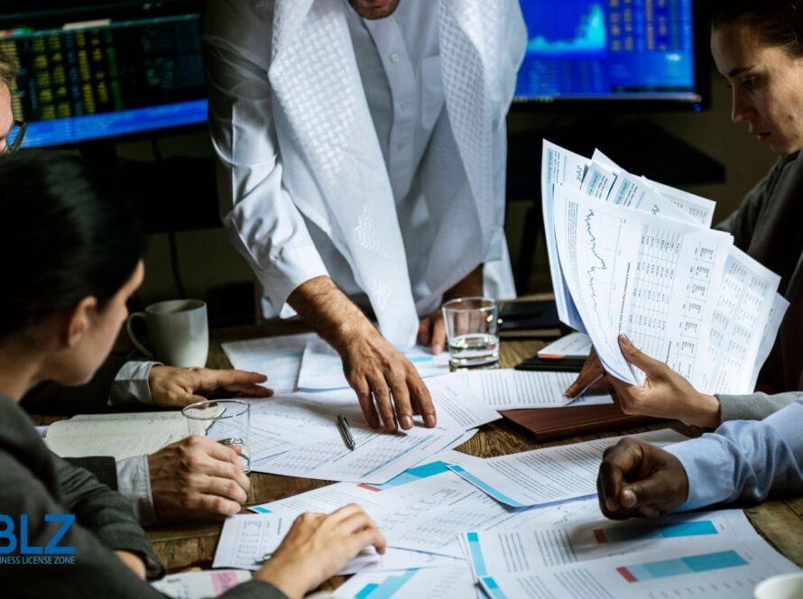 PRO services in Dubai for new business setup with BLZ